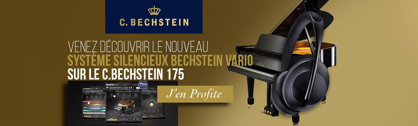 C. Bechstein A175 Vario Duet